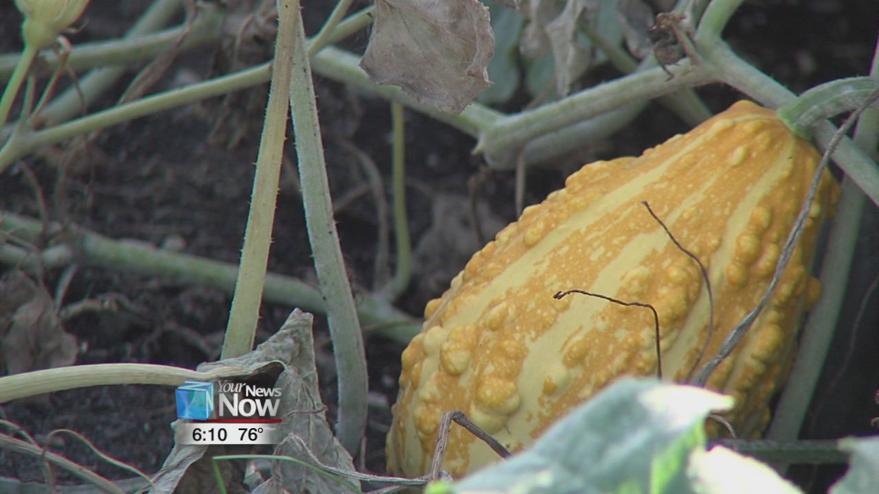 Vantage Career Center Community Garden 3.jpg
